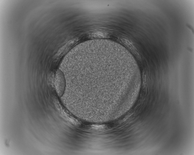 X0000102480457200809051400