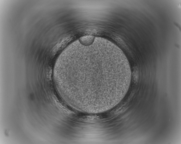 X0000102480458200809051400