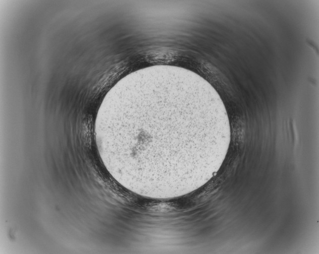 X0000102480460200809051400