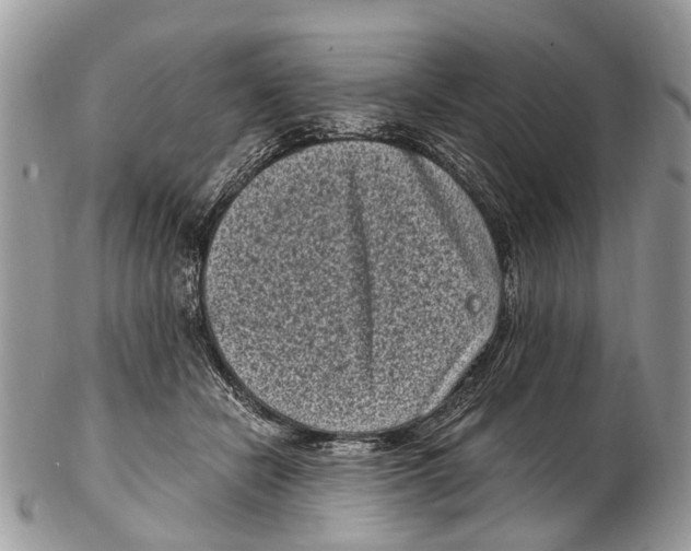 X0000102480462200809051400