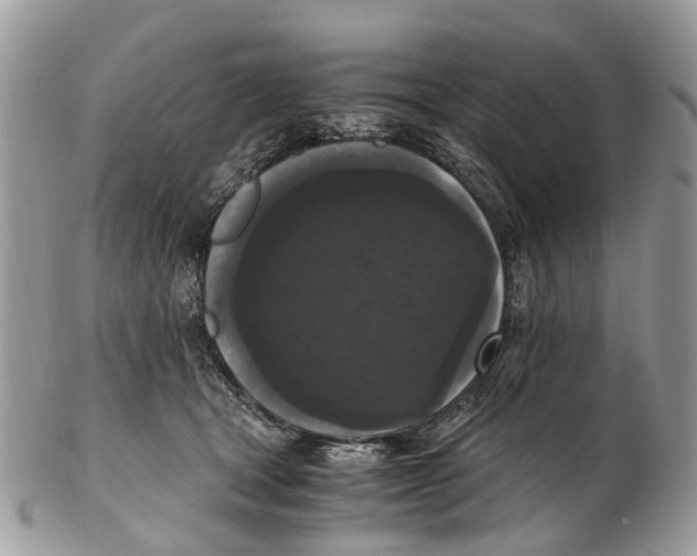 X0000102480465200809051400