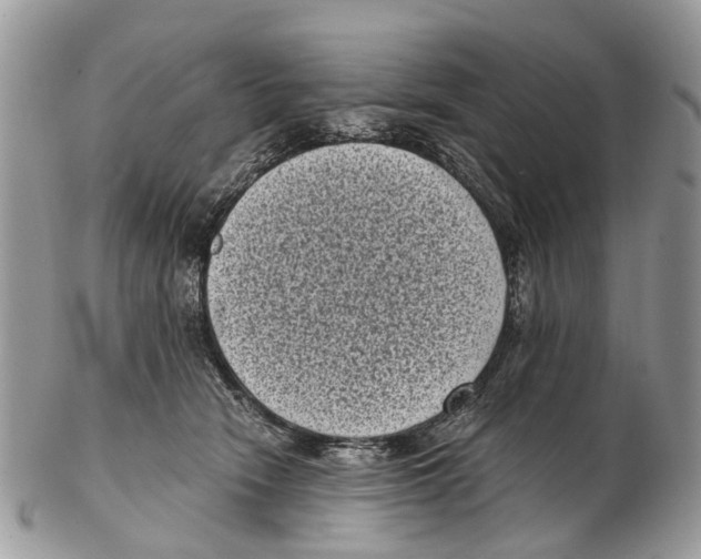 X0000102480466200809051400