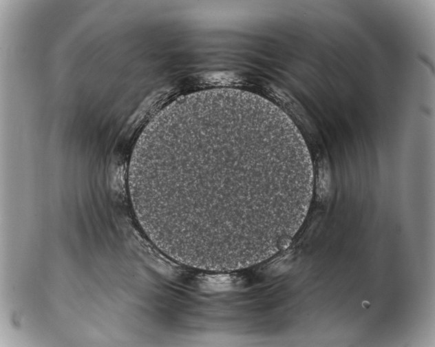 X0000102480473200809051400