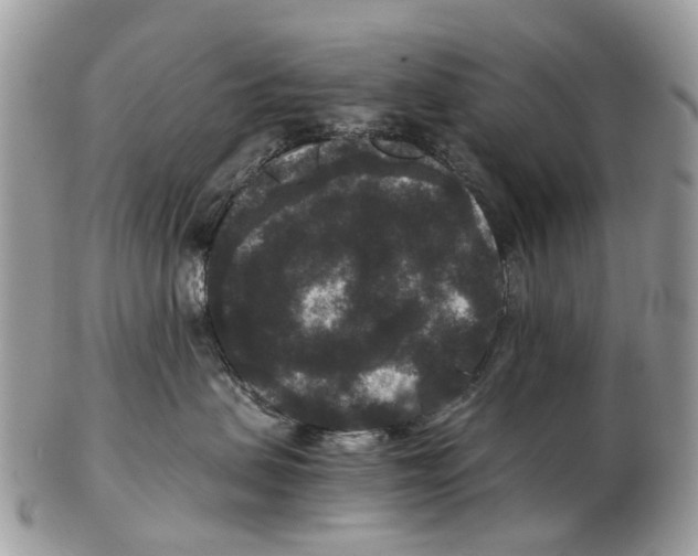 X0000102480479200809051400