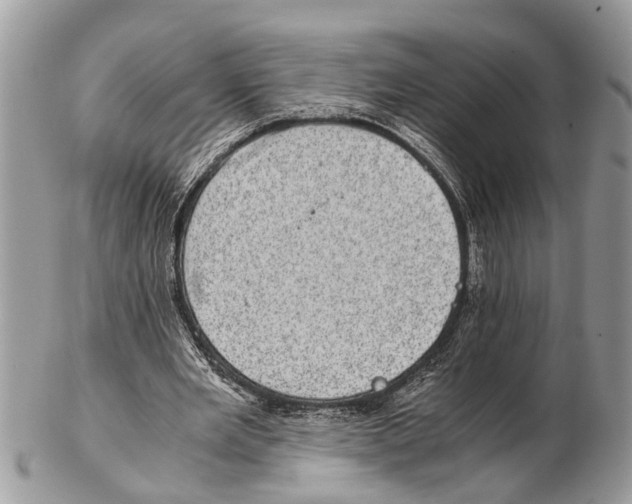 X0000102480485200809051400