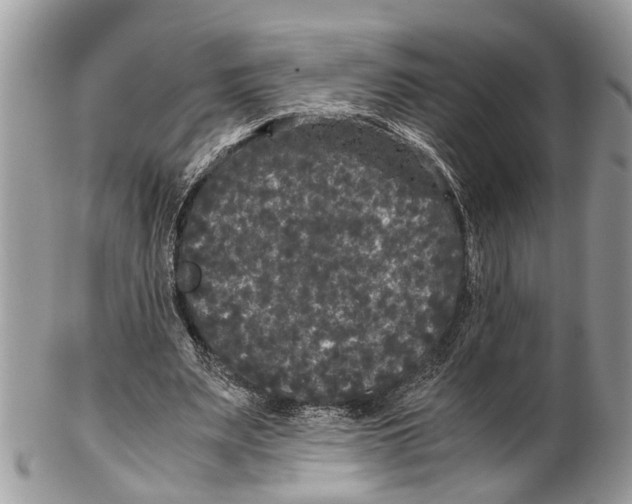 X0000102480487200809051400