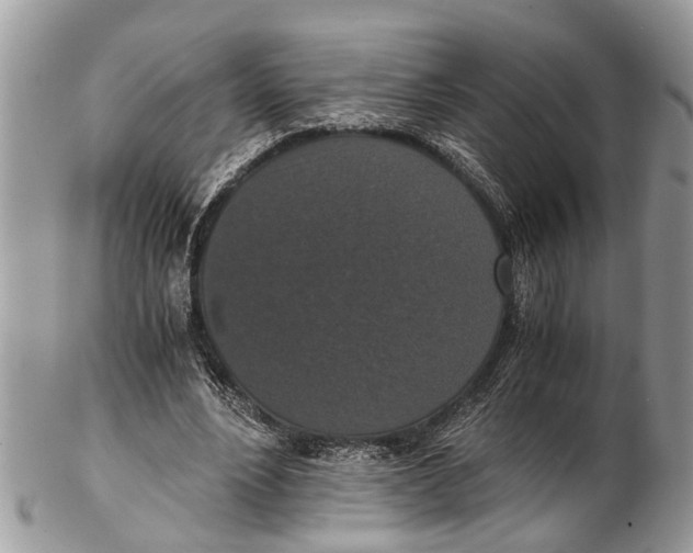 X0000102480488200809051400