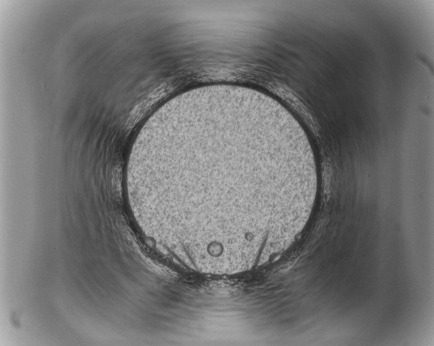 X0000102480489200809051400