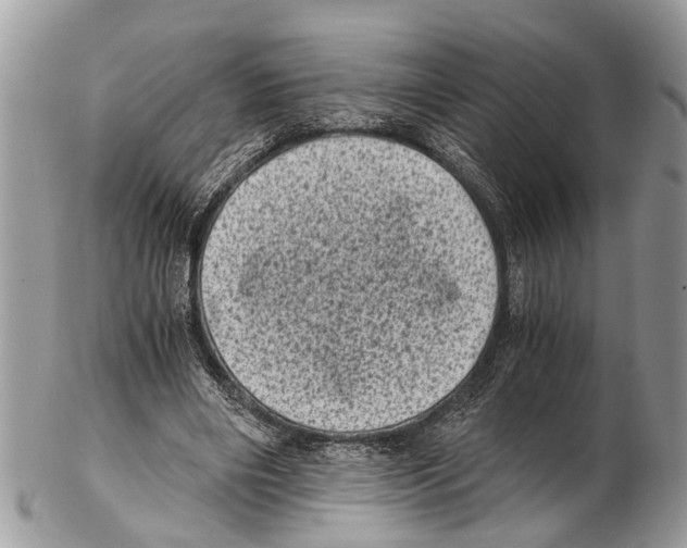 X0000102480490200809051400