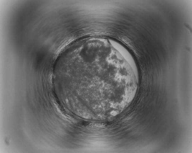 X0000102480491200809051400