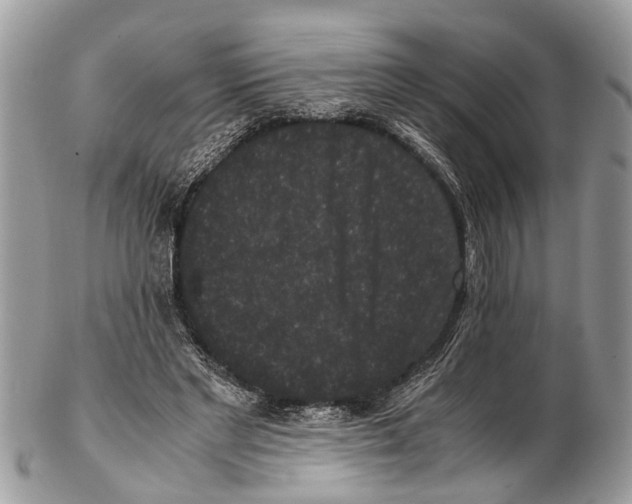 X0000102480493200809051359