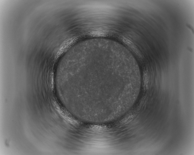 X0000102480494200809051359