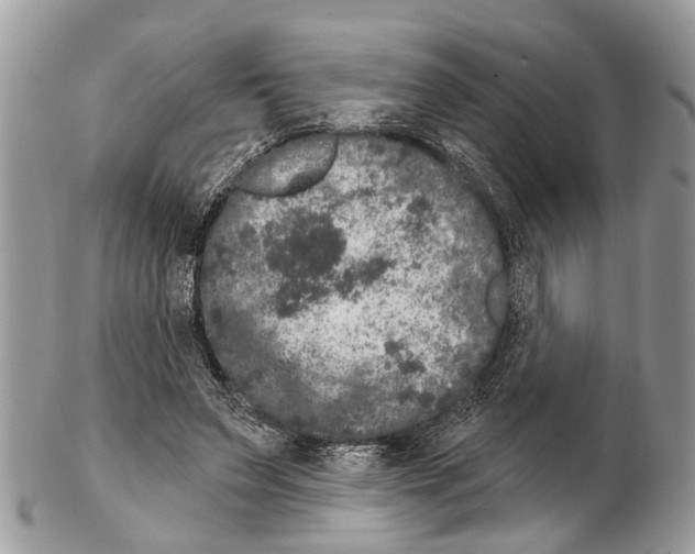 X0000102480495200809051359