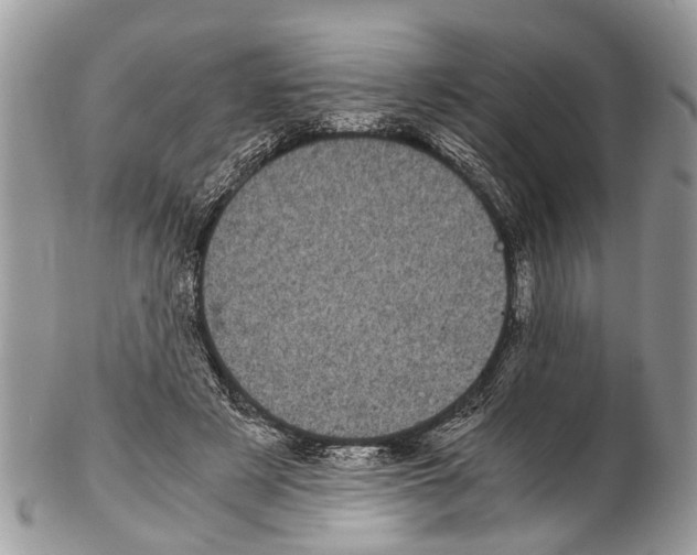 X0000102480497200809051359