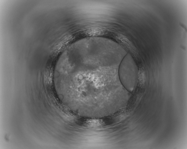 X0000102480499200809051359