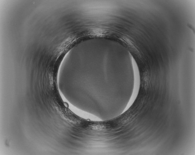 X0000102480500200809051359