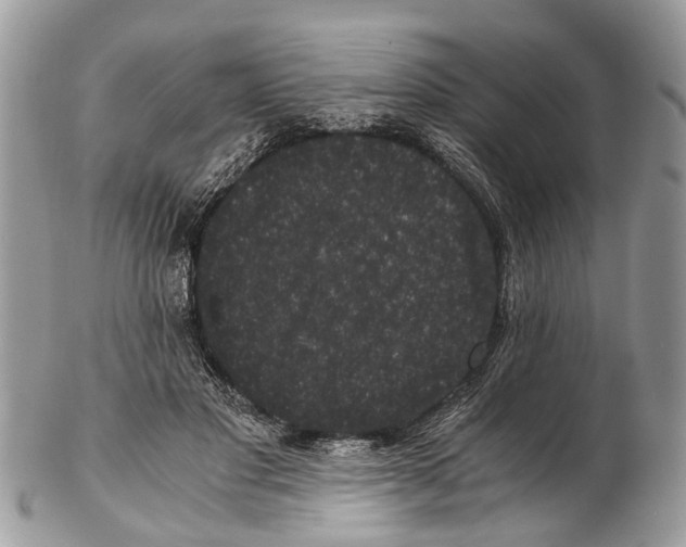 X0000102480501200809051359