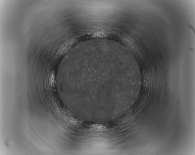 X0000102480502200809051359