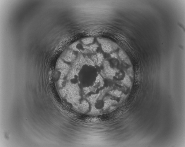 X0000102480503200809051359