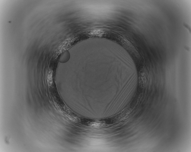 X0000102480504200809051359