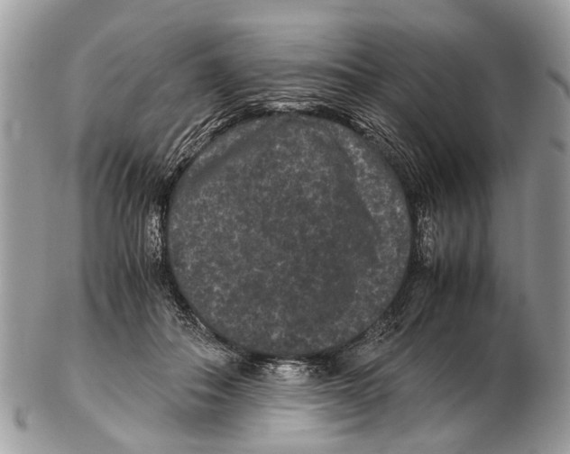 X0000102480506200809051359