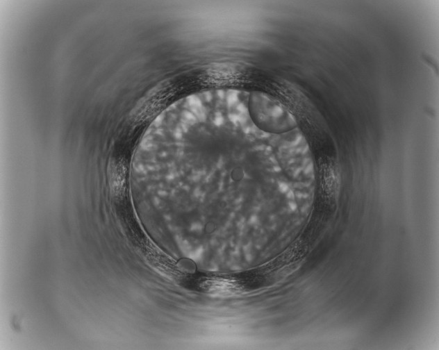 X0000102480507200809051359