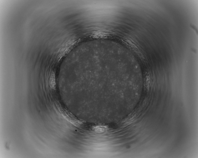 X0000102480508200809051359