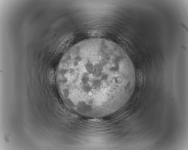 X0000102480511200809051359