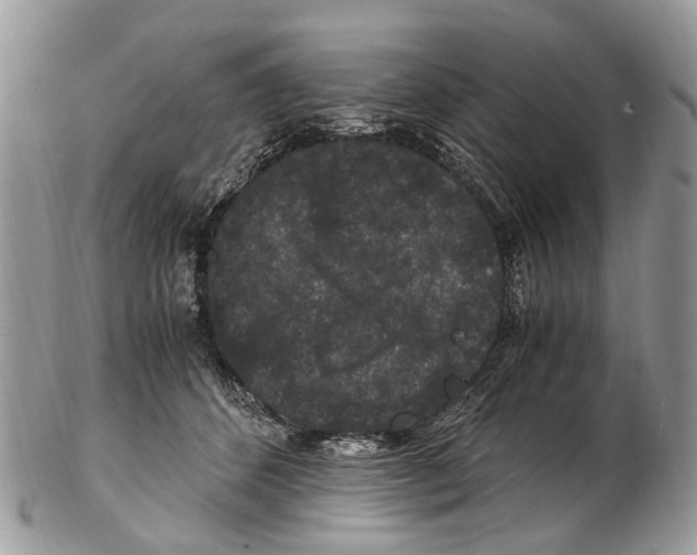 X0000102480512200809051359