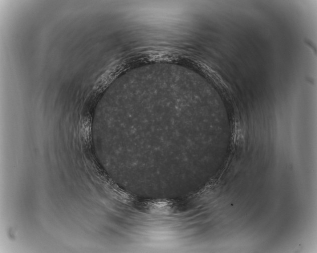 X0000102480513200809051359