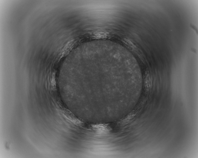 X0000102480516200809051359