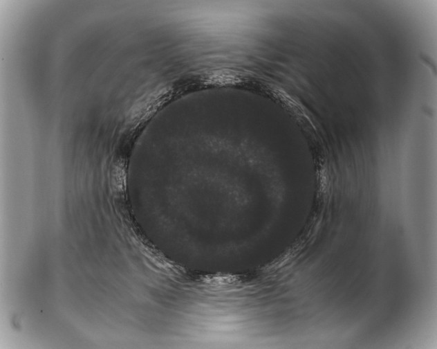 X0000102480517200809051359