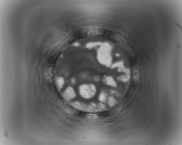 X0000102480519200809051359