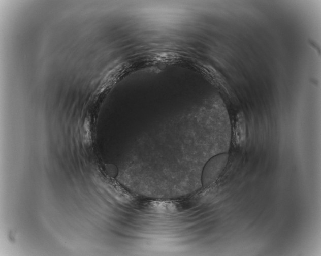 X0000102480520200809051359