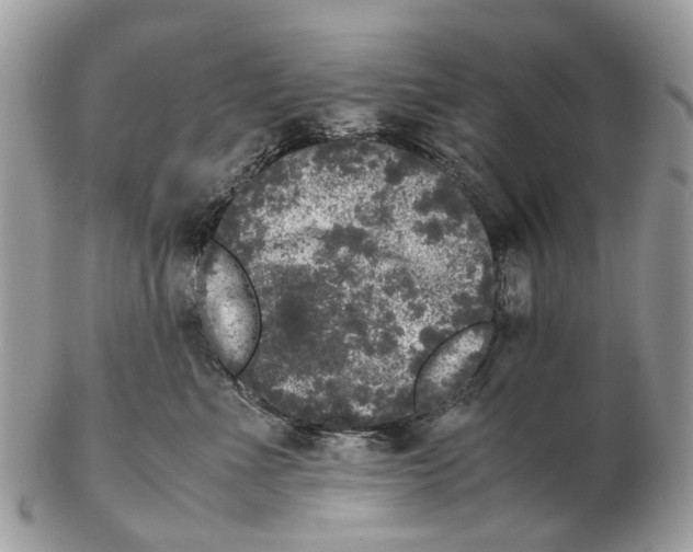 X0000102480523200809051359