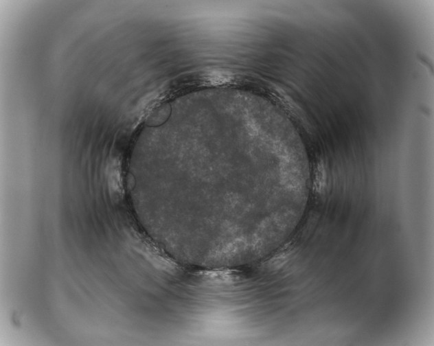 X0000102480524200809051359