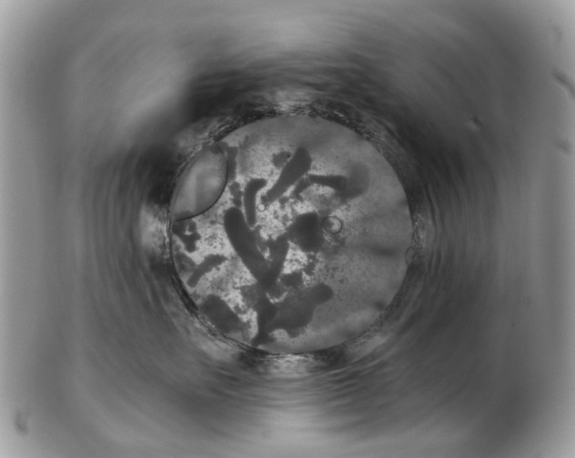 X0000102480527200809051359