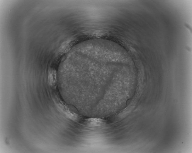 X0000102480528200809051359