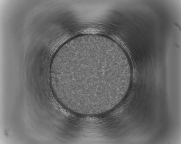 X0000102480529200809051358