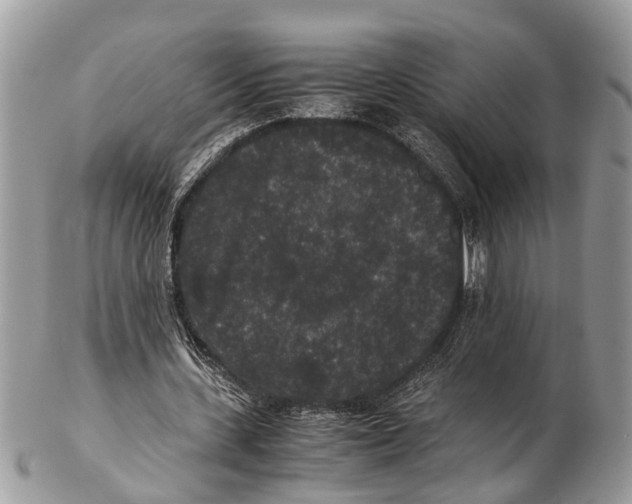 X0000102480531200809051358