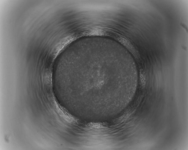 X0000102480534200809051358