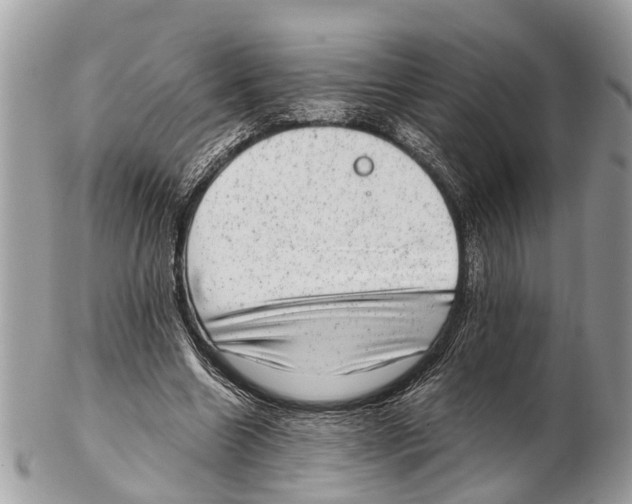 X0000102480538200809051358