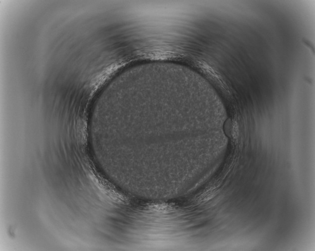 X0000102480540200809051359