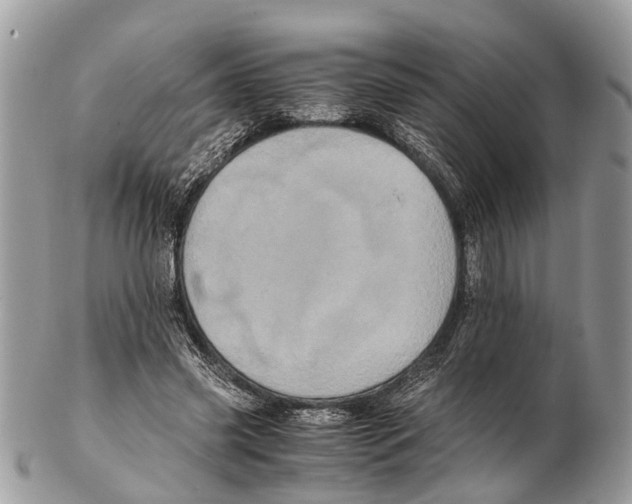 X0000102480541200809051359