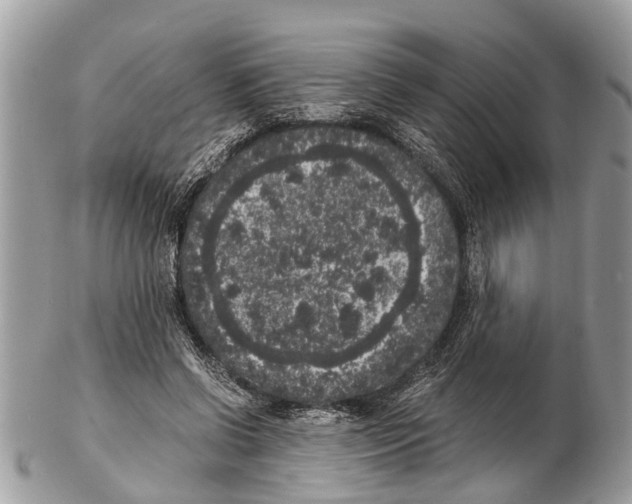 X0000102480542200809051359