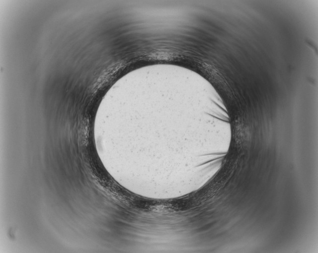 X0000102480544200809051359