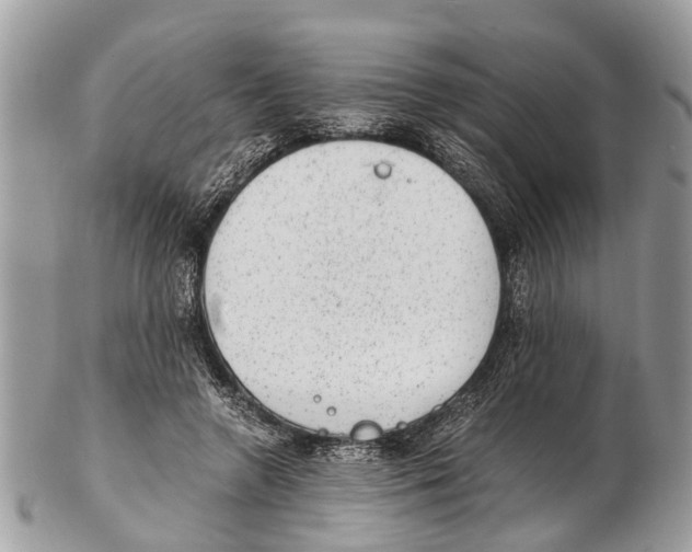 X0000102480546200809051359