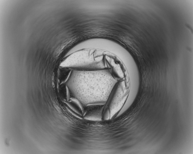 X0000102480547200809051359