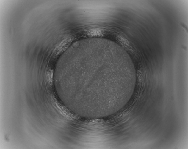 X0000102480550200809051359