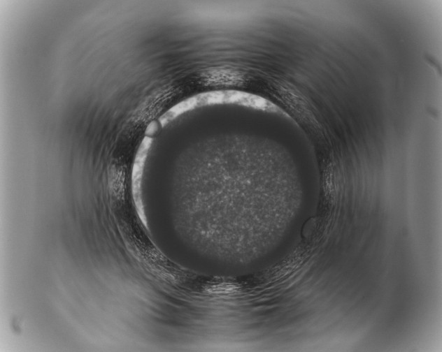 X0000102480551200809051359